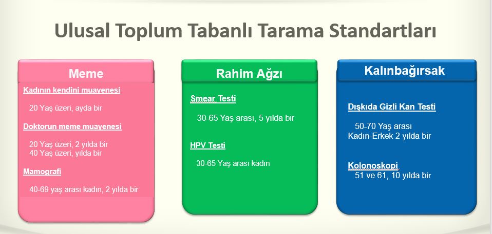 /tarama_gorsel_2.JPG /tarama_gorsel_2.JPG